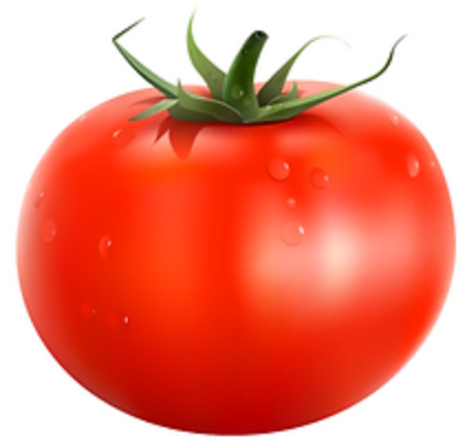 Tomato Patch